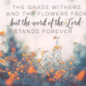 Meet your Posher, Grace